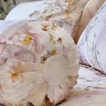 Bộ Ga Bọc Giường BAMBOO LINEN – DRAP BL01