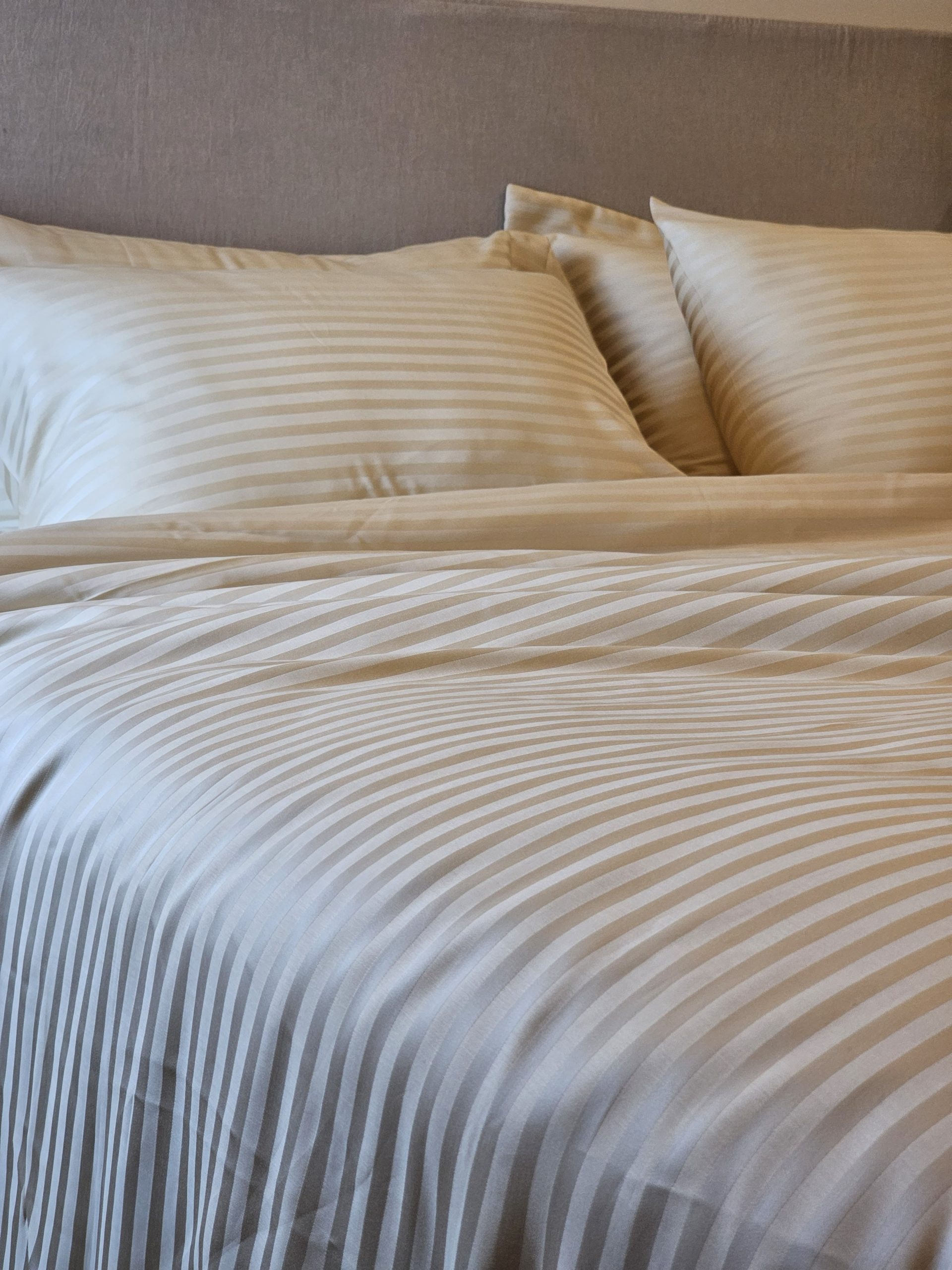 Bộ Ga Bọc Giường TENCEL JACQUARD – DRAP TCJ02