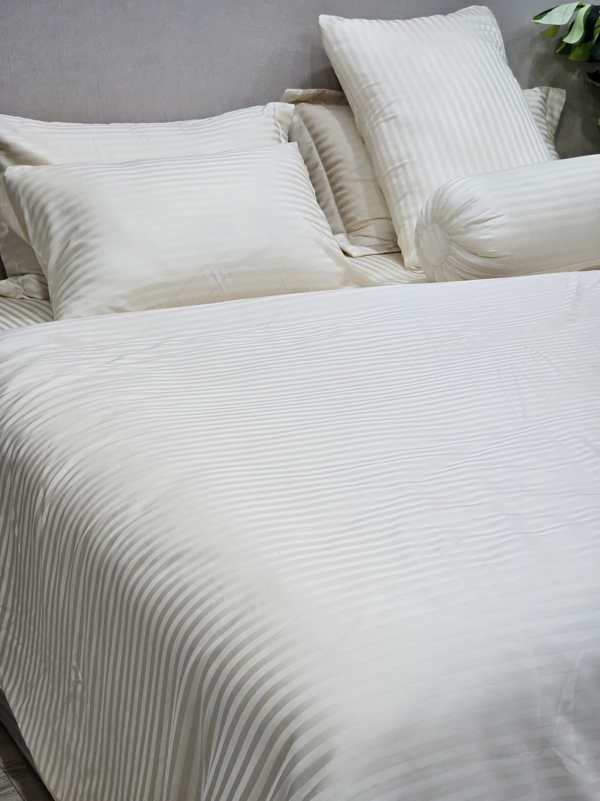 Bộ Ga Bọc Giường TENCEL JACQUARD – DRAP TCJ02
